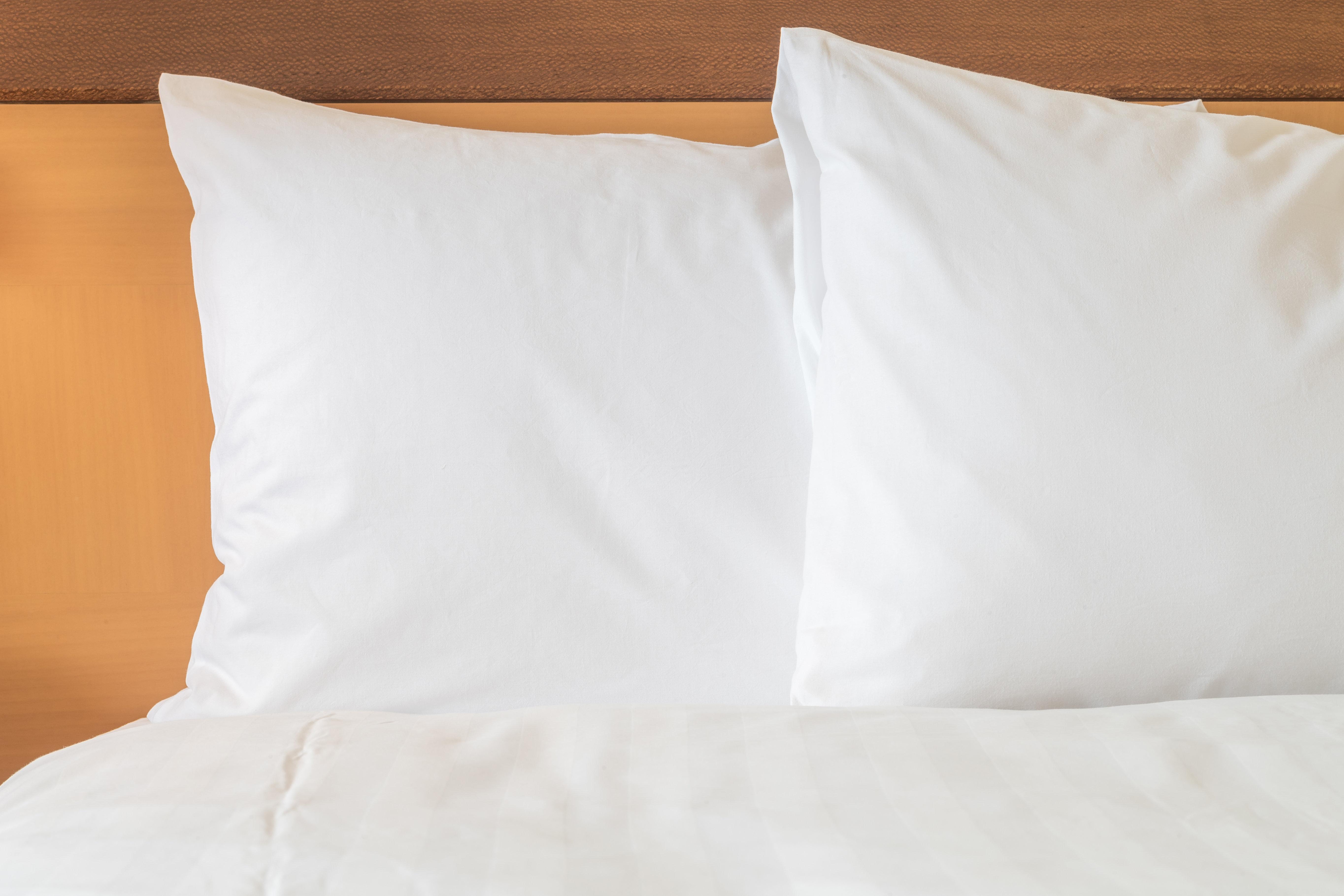 מוריסוויל Holiday Inn Raleigh Durham Airport By Ihg מראה חיצוני תמונה